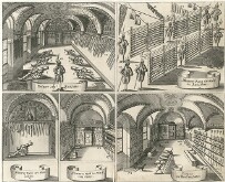 Moll map collection